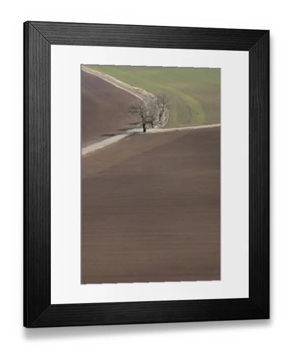 Framed Print : Arable farmland with cultivated fields and road, Vastergotland, Sweden, spring