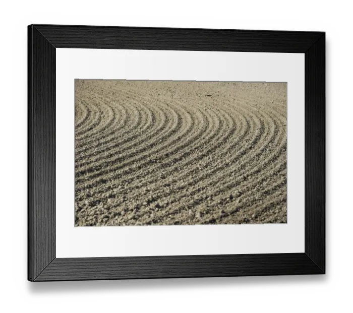 Framed Print : Soil after sowing, in cultivated arable field, Sweden, may