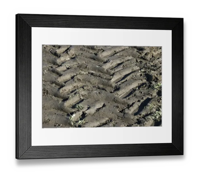 Framed Print : Tractor tyre tracks in muddy field, Sweden, september Framed Print : Tractor tyre tracks in muddy field, Sweden, september