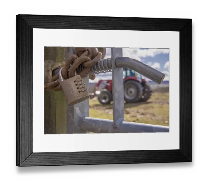 Framed Print : Combination lock and heavy chain on farm gate, with tractor in background, Lancashire, England, March Framed Print : Combination lock and heavy chain on farm gate, with tractor in background, Lancashire, England, March