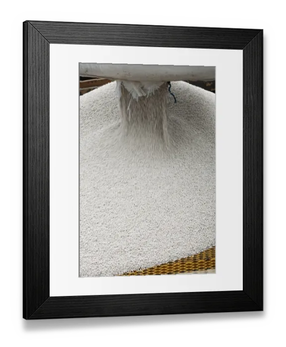 Framed Print : Emptying bag of nitrogen granular fertilizer granules into fertilizer spreader, Sweden, may Framed Print : Emptying bag of nitrogen granular fertilizer granules into fertilizer spreader, Sweden, may