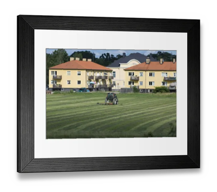 Framed Print : Hay crop, tractor tedding hay, field next to houses, Sweden Framed Print : Hay crop, tractor tedding hay, field next to houses, Sweden