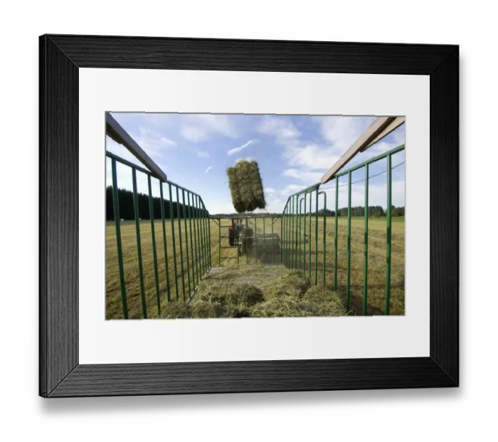 Framed Print : Tractor baling hay crop, baler tossing small bales into wagon, Sweden Framed Print : Tractor baling hay crop, baler tossing small bales into wagon, Sweden