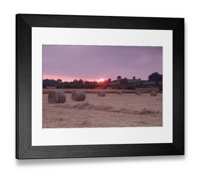 Framed Print : Round hay bales from harvested field of wild grasses at sunset, West Yorkshire, England, July Framed Print : Round hay bales from harvested field of wild grasses at sunset, West Yorkshire, England, July