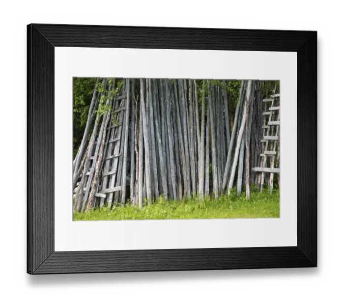 Framed Print : Wooden stakes for hay, Lappland, Sweden, June Framed Print : Wooden stakes for hay, Lappland, Sweden, June