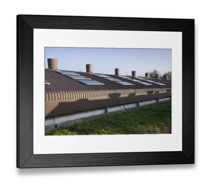 Framed Print : Chicken farming, solar panels on roof of poultry unit, Lancashire, England, November Framed Print : Chicken farming, solar panels on roof of poultry unit, Lancashire, England, November