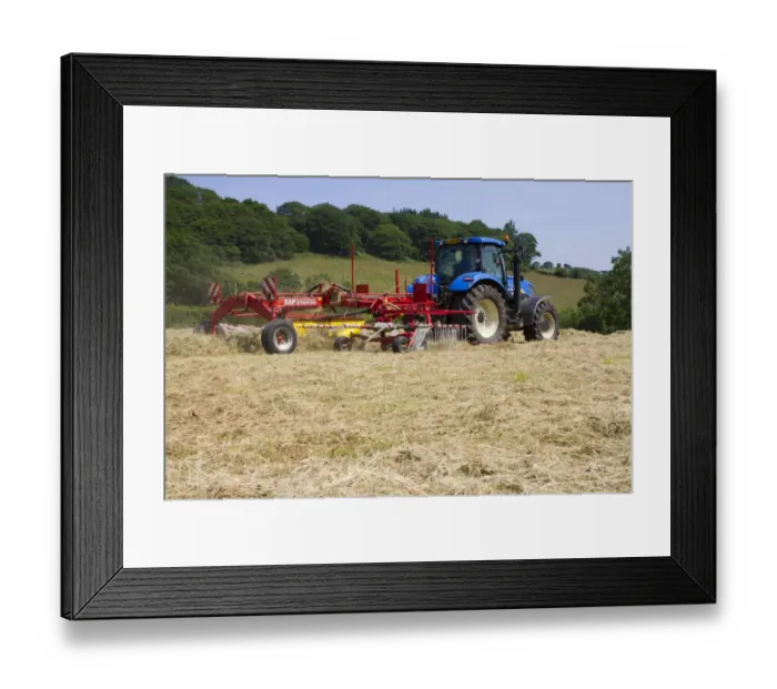 Framed Print : Contractor with New Holland T7030 tractor and SIP hay rake, raking hay for baling on organic farm, Powys, Wales, July Framed Print : Contractor with New Holland T7030 tractor and SIP hay rake, raking hay for baling on organic farm, Powys, Wales, July