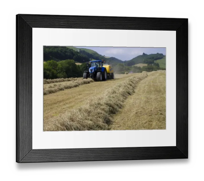Framed Print : Contractor with New Holland T7040 tractor and New Holland big-square baler, baling hay on organic farm, Powys, Wales
