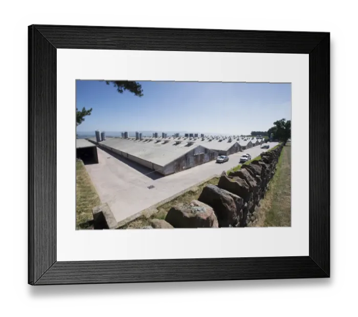 Framed Print : Chicken farming, heavy cockerel rearing unit buildings, Cumbria, England, July Framed Print : Chicken farming, heavy cockerel rearing unit buildings, Cumbria, England, July
