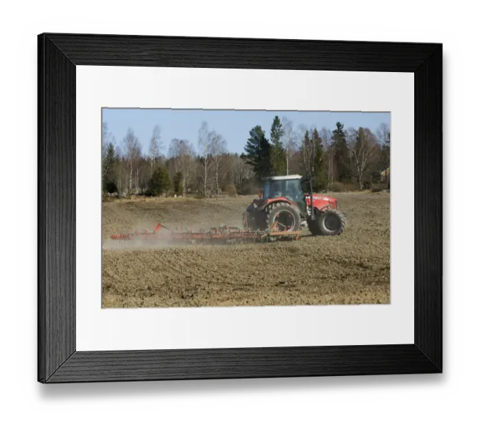 Framed Print : Massey Ferguson tractor pulling harrows, harrowing field, Sweden, spring Framed Print : Massey Ferguson tractor pulling harrows, harrowing field, Sweden, spring