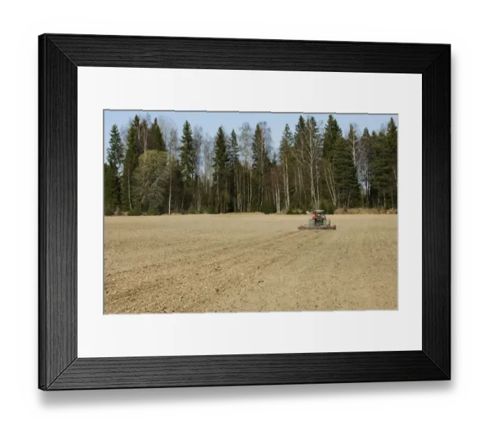 Framed Print : Tractor pulling harrows, harrowing field, Sweden, spring Framed Print : Tractor pulling harrows, harrowing field, Sweden, spring