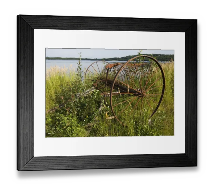 Framed Print : Rusty old-fashioned horse-drawn hay rake, at edge of water, Sweden Framed Print : Rusty old-fashioned horse-drawn hay rake, at edge of water, Sweden
