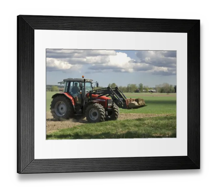 Framed Print : Massey Ferguson 6290 tractor with front loader forks, removing large stones from cultivated arable field, Sweden Framed Print : Massey Ferguson 6290 tractor with front loader forks, removing large stones from cultivated arable field, Sweden
