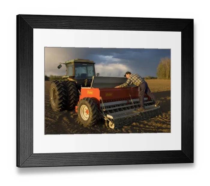 Framed Print : Farmer loading Tume seed drill, Sweden