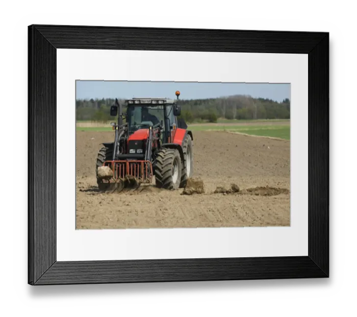 Framed Print : Massey Ferguson 6290 tractor with front loader forks, removing large stones from cultivated arable field, Sweden