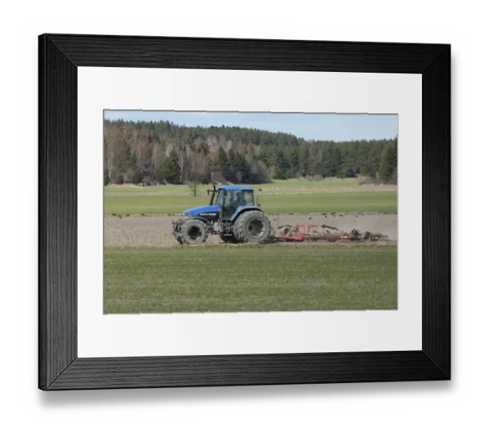Framed Print : New Holland TM165 tractor with harrows, harrowing field seedbed, Sweden, may Framed Print : New Holland TM165 tractor with harrows, harrowing field seedbed, Sweden, may