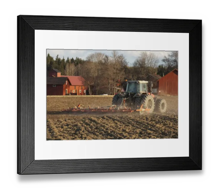 Framed Print : Massey Fergusson 6290 tractor with harrows, harrowing field seedbed, Sweden, may