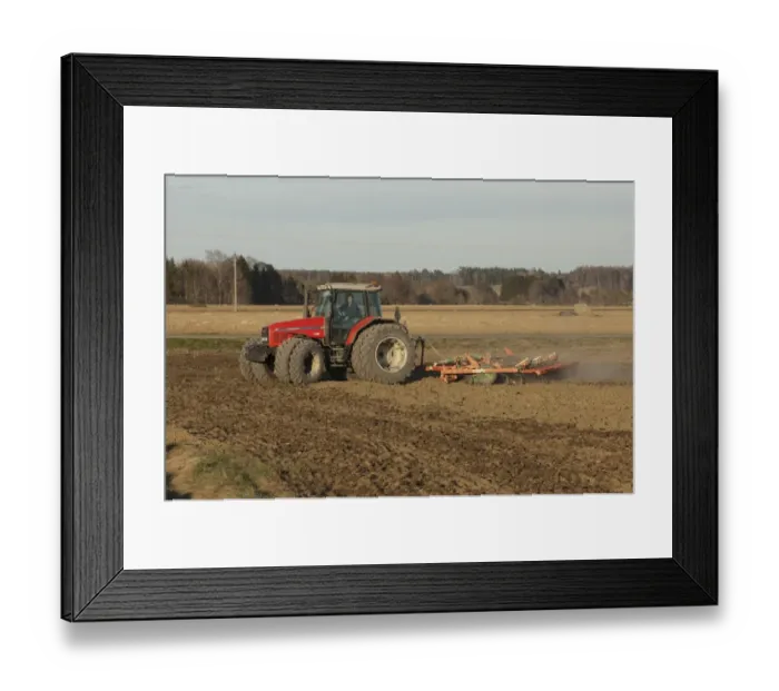 Framed Print : Massey Fergusson 6290 tractor with harrows, harrowing field seedbed, Sweden, may Framed Print : Massey Fergusson 6290 tractor with harrows, harrowing field seedbed, Sweden, may