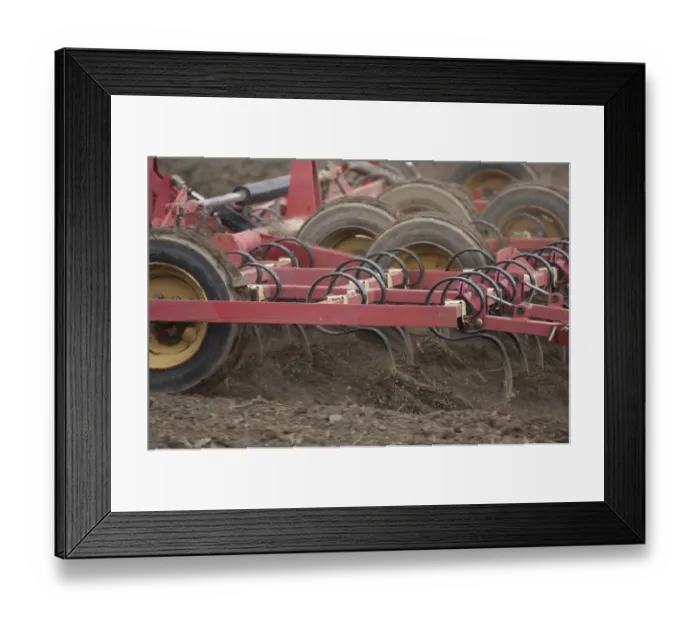 Framed Print : Close-up of harrows, cultivating arable field, Sweden, may Framed Print : Close-up of harrows, cultivating arable field, Sweden, may