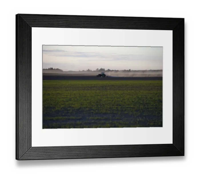 Framed Print : View across arable field, tractor with rollers, rolling field at sunset, Uppland, Sweden, may Framed Print : View across arable field, tractor with rollers, rolling field at sunset, Uppland, Sweden, may
