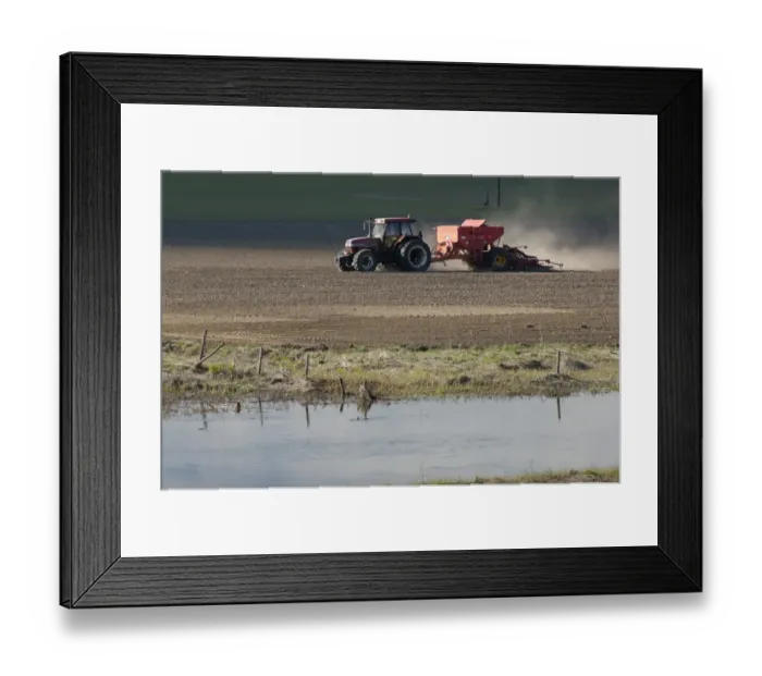 Framed Print : Case 5150 tractor with Overum seed drill, drilling arable field at edge of small river, Tamnaran, Uppland, Sweden, may Framed Print : Case 5150 tractor with Overum seed drill, drilling arable field at edge of small river, Tamnaran, Uppland, Sweden, may
