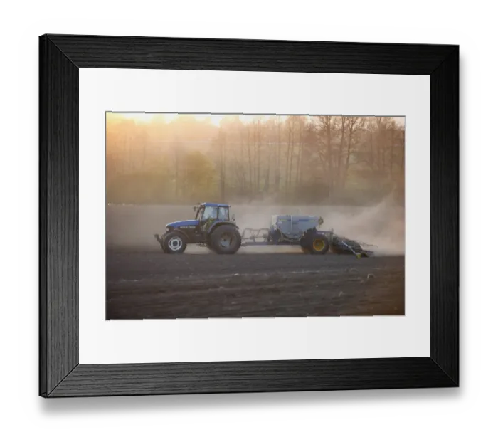 Framed Print : New Holland TM135 tractor with Overum seed drill, with wind blown dust in field at sunset, Uppland, Sweden, may