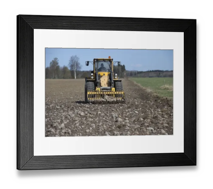 Framed Print : Tractor with front loader forks, removing stones from cultivated arable field, Tierp, Uppsala, Sweden, may Framed Print : Tractor with front loader forks, removing stones from cultivated arable field, Tierp, Uppsala, Sweden, may