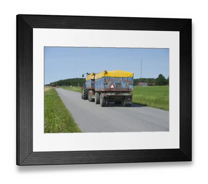 Framed Print : Tractor with covered trailers, transporting harvested grain on rural road, Sweden, august Framed Print : Tractor with covered trailers, transporting harvested grain on rural road, Sweden, august