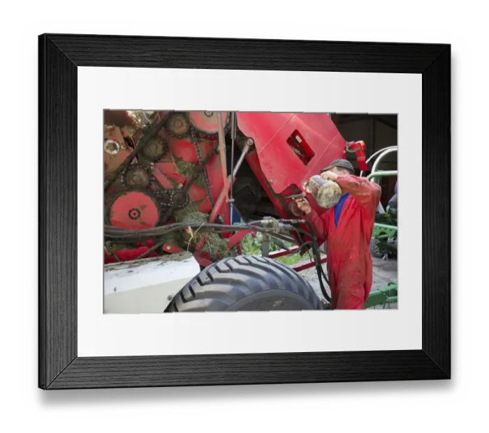 Framed Print : Farmer greasing chain on round baler, Sweden, july
