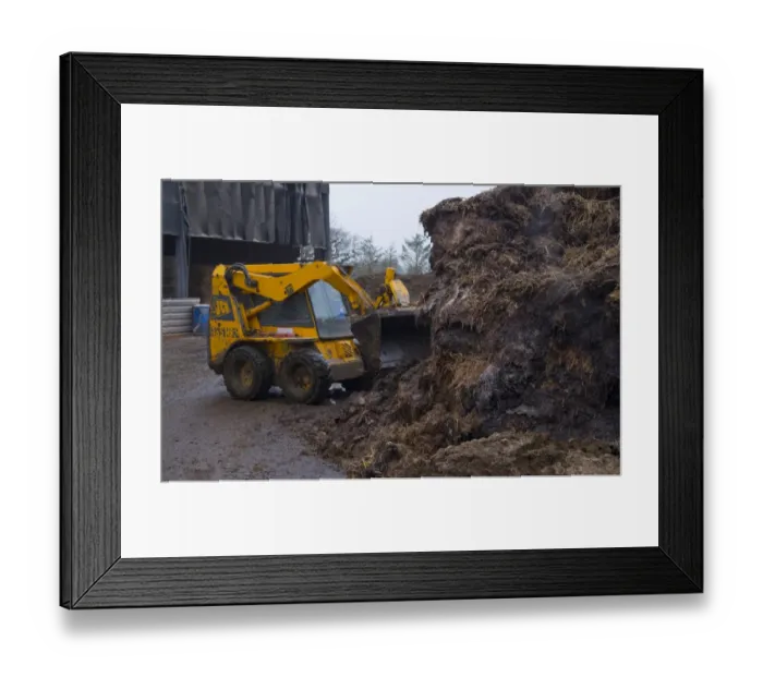 Framed Print : JCB 165 Robot Skid Steer loader moving manure in farmyard, Nantwich, Cheshire, England, February Framed Print : JCB 165 Robot Skid Steer loader moving manure in farmyard, Nantwich, Cheshire, England, February