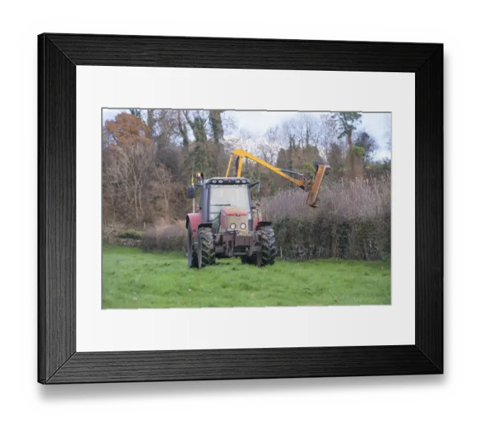 Framed Print : Massey Ferguson with flail cutter, cutting hedgerow, Cumbria, England, November Framed Print : Massey Ferguson with flail cutter, cutting hedgerow, Cumbria, England, November
