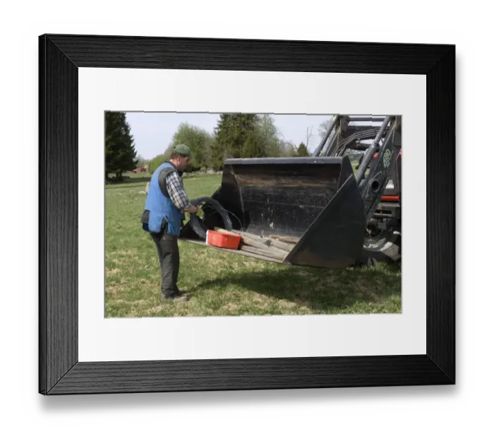 Framed Print : Farmer fencing with barbed wire, collecting coils of wire and posts from tractor bucket, Sweden, spring Framed Print : Farmer fencing with barbed wire, collecting coils of wire and posts from tractor bucket, Sweden, spring