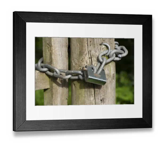 Framed Print : Wooden gate with heavy duty padlock and chain for security on farm, England, May Framed Print : Wooden gate with heavy duty padlock and chain for security on farm, England, May
