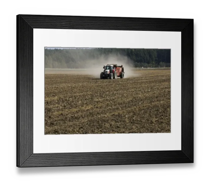 Framed Print : Steyr tractor with muck spreader, spreading muck on arable field, Sweden, autumn Framed Print : Steyr tractor with muck spreader, spreading muck on arable field, Sweden, autumn