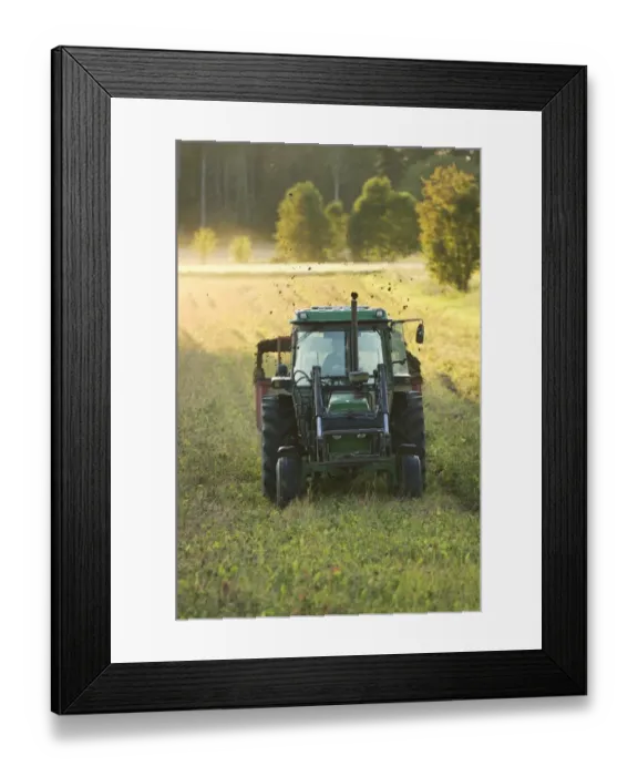 Framed Print : John Deere tractor pulling muck spreader, spreading muck on field in evening sunshine, Sweden Framed Print : John Deere tractor pulling muck spreader, spreading muck on field in evening sunshine, Sweden