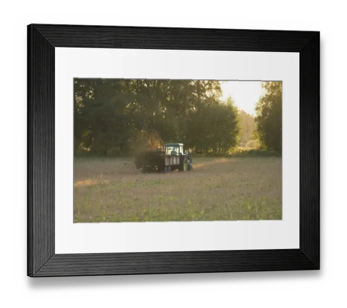 Framed Print : John Deere tractor pulling muck spreader, spreading muck on field in evening sunshine, Sweden Framed Print : John Deere tractor pulling muck spreader, spreading muck on field in evening sunshine, Sweden