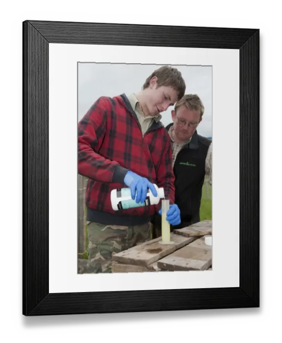 Framed Print : Gamebird farming, trainee gamekeeper watched by tutor, adding solulyte to water which helps prevent stress amongst Framed Print : Gamebird farming, trainee gamekeeper watched by tutor, adding solulyte to water which helps prevent stress amongst