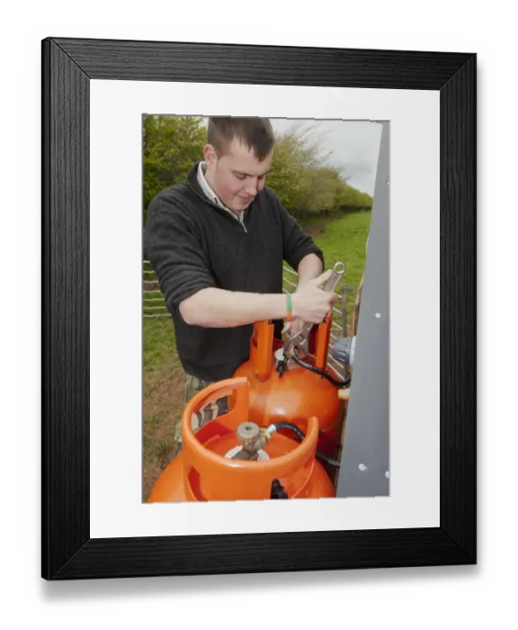 Framed Print : Gamebird farming, gamekeeper altering heating levels on propane gas cylinders at pheasant rearing sheds Framed Print : Gamebird farming, gamekeeper altering heating levels on propane gas cylinders at pheasant rearing sheds
