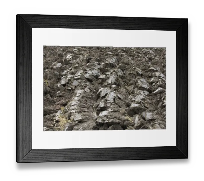 Framed Print : Close-up of furrows in newly ploughed field, Sweden, autumn Framed Print : Close-up of furrows in newly ploughed field, Sweden, autumn