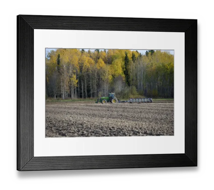 Framed Print : John Deere tractor with eight furrow reversible plough, ploughing arable field beside forest, Sweden, october Framed Print : John Deere tractor with eight furrow reversible plough, ploughing arable field beside forest, Sweden, october