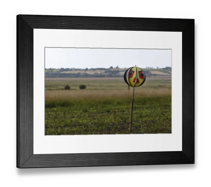 Framed Print : Birdscarer, rotating ball with reflective panels and raptors face attached to post, Elmley Marshes N. N. R Framed Print : Birdscarer, rotating ball with reflective panels and raptors face attached to post, Elmley Marshes N. N. R
