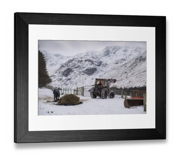 Framed Print : Sheep farming, tractor and silage bale for feed in snow covered upland pasture, Elmhow Farm, Grisedale, Lake District Framed Print : Sheep farming, tractor and silage bale for feed in snow covered upland pasture, Elmhow Farm, Grisedale, Lake District