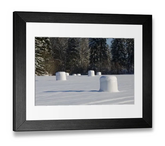 Framed Print : Round silage bales in field, covered in snow, Sweden, winter Framed Print : Round silage bales in field, covered in snow, Sweden, winter