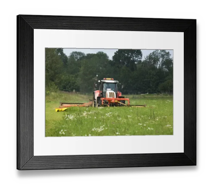 Framed Print : Mowing silage grass with Steyr tractor and Fella front and rear mounted mower, Sweden Framed Print : Mowing silage grass with Steyr tractor and Fella front and rear mounted mower, Sweden