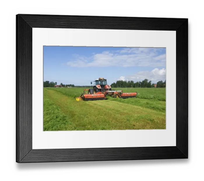 Framed Print : Mowing silage grass with Steyr tractor and Fella mower, Sweden Framed Print : Mowing silage grass with Steyr tractor and Fella mower, Sweden