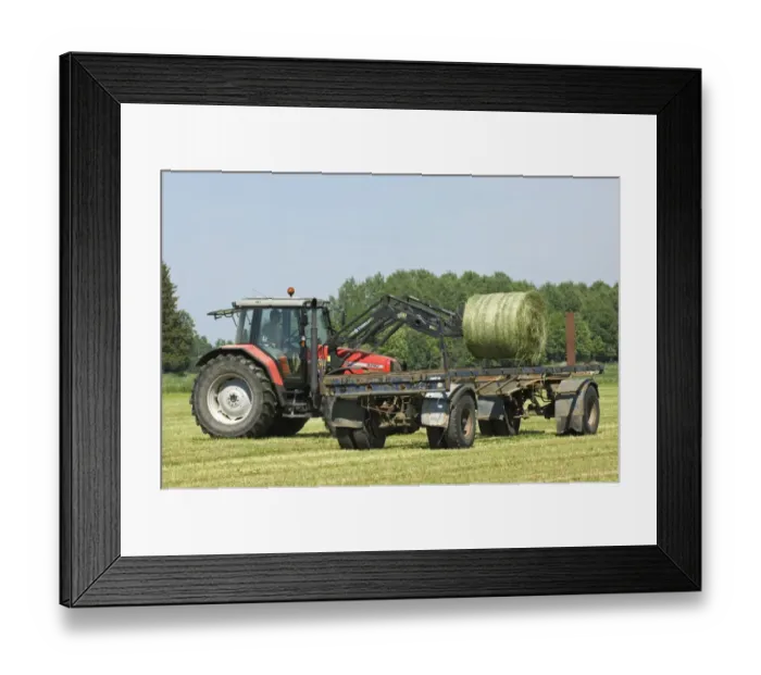 Framed Print : Round silage bales, loaded onto trailer by Massey Ferguson 6290 tractor with front loader, Sweden