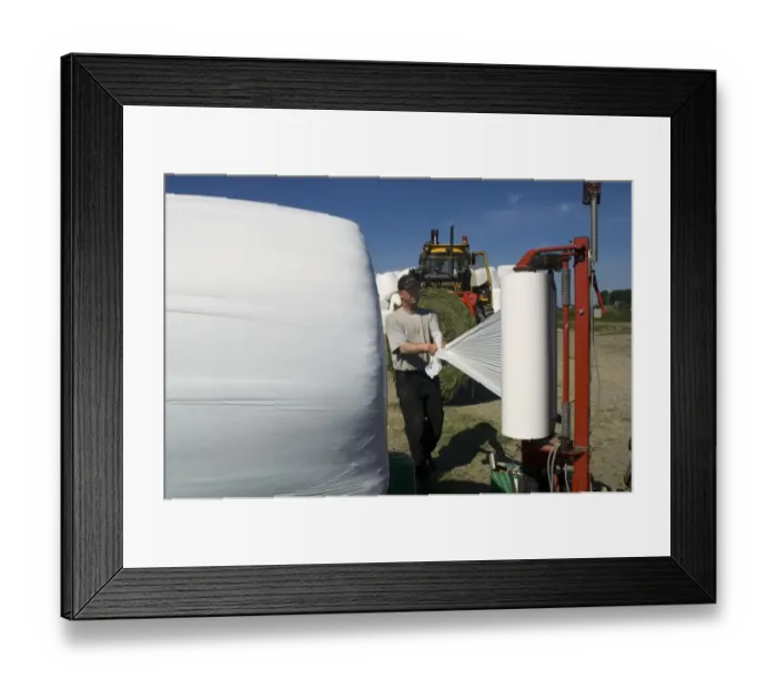 Framed Print : Farmer plastic wrapping round silage bales with mechanical bale-wrapper, Sweden