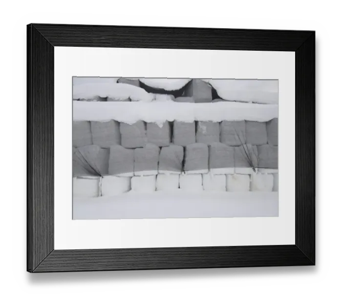 Framed Print : Plastic wrapped round silage bales, stacked under netting in snow, Sweden, winter Framed Print : Plastic wrapped round silage bales, stacked under netting in snow, Sweden, winter