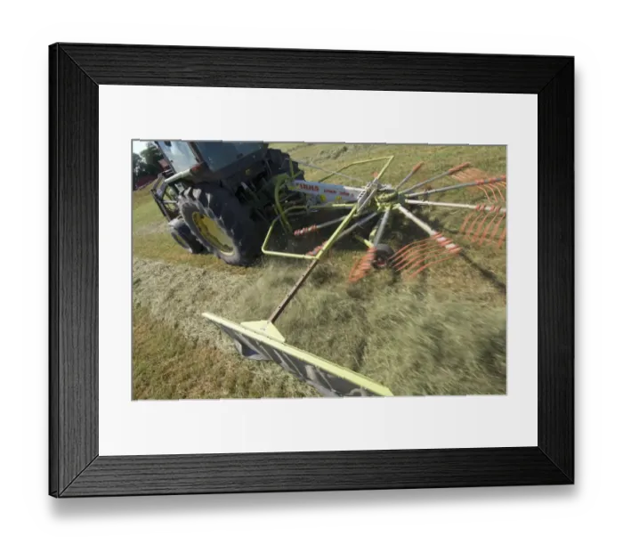 Framed Print : Tractor with Cls Liner 350 rotary rake, turning cut grass for silage crop, Sweden Framed Print : Tractor with Cls Liner 350 rotary rake, turning cut grass for silage crop, Sweden