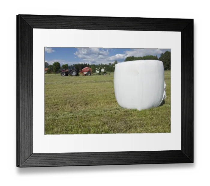 Framed Print : Plastic wrapped round silage bale in field, tractor with baler and mechanical bale-wrapper, in background, Sweden Framed Print : Plastic wrapped round silage bale in field, tractor with baler and mechanical bale-wrapper, in background, Sweden